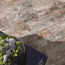 Smartton XXS 30x60x4 Kilimanjaro SE