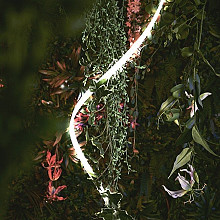 Evo Flex 1 + Driver 1