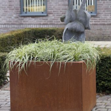 Bloembak vlak - CORTEN 60x90x60cm