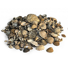Schelpen 8-16mm BB 600kg RS