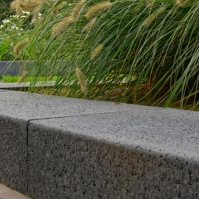 Schellevis traptrede 20x40x100 carbon